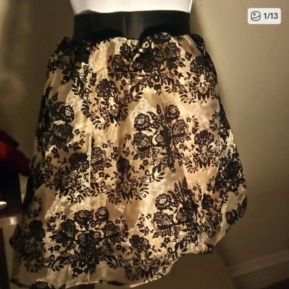 Express Mini Skirt - Picture 16 of 16